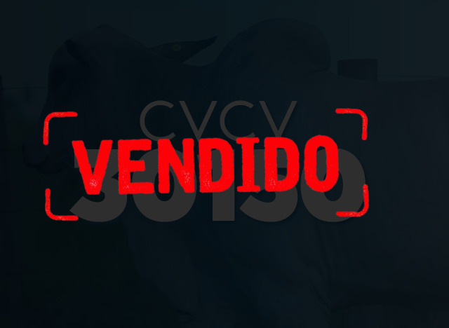 CVCV 29733