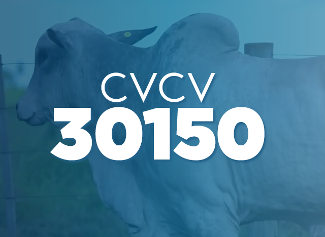 CVCV 30150