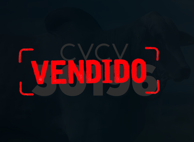 CVCV 30196
