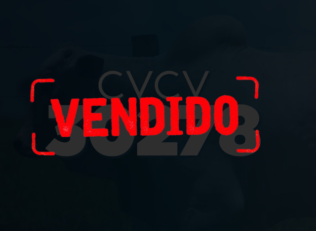 CVCV 30278