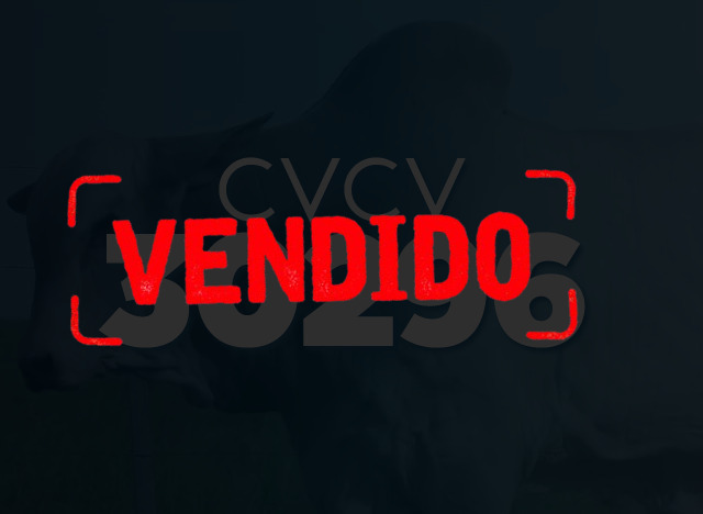 CVCV 30296