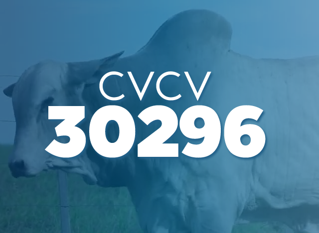 CVCV 30296