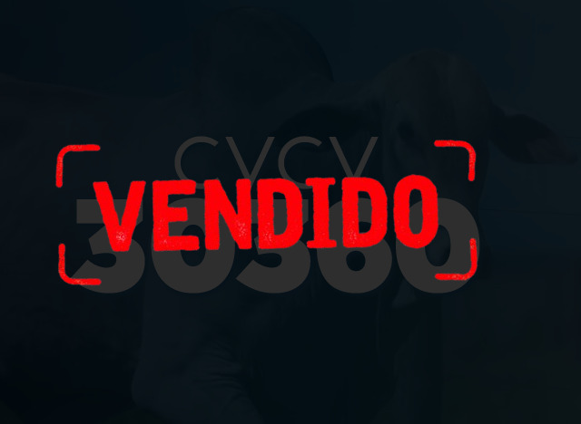 CVCV 30360