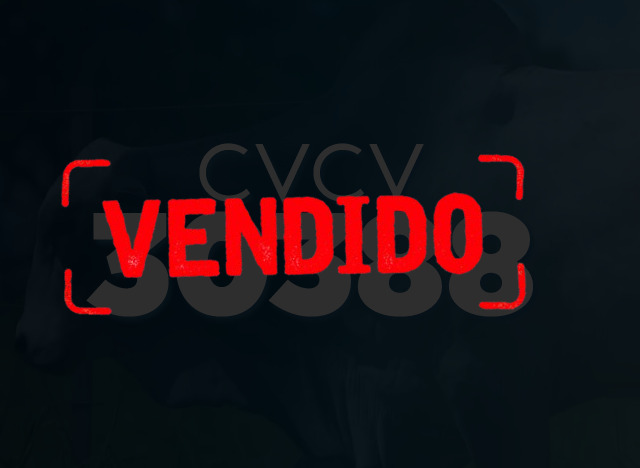 CVCV 30388