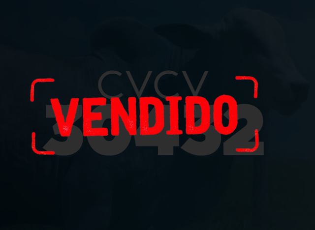 CVCV 30432