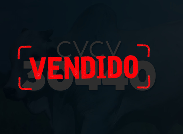 CVCV 30440