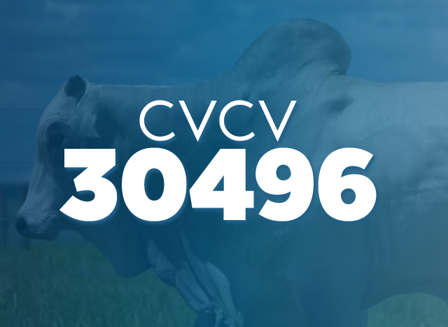 CVCV 30496