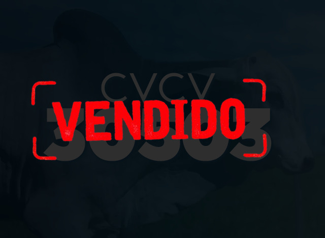 CVCV 30503