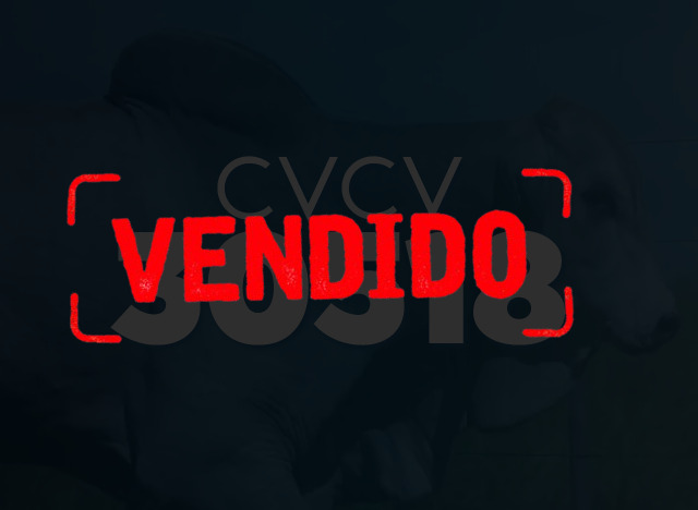 CVCV 30518