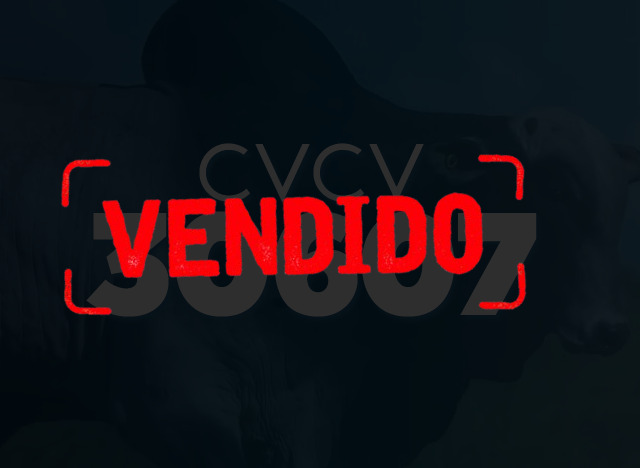 CVCV 30607