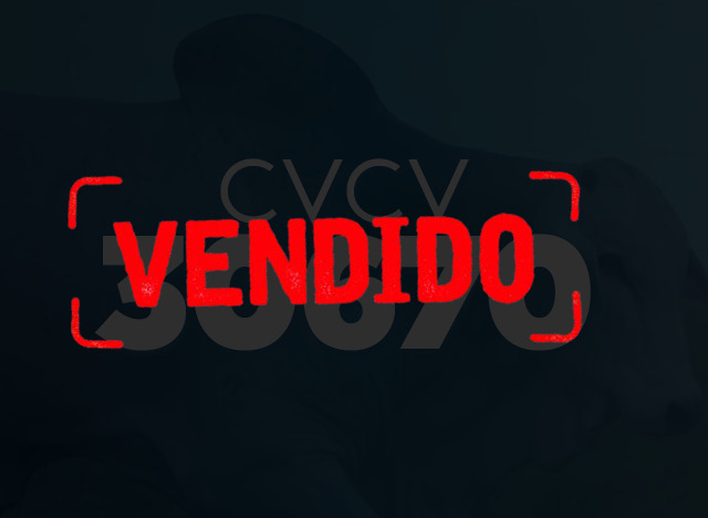 CVCV 30670