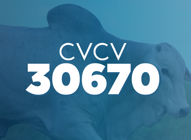 CVCV 30670