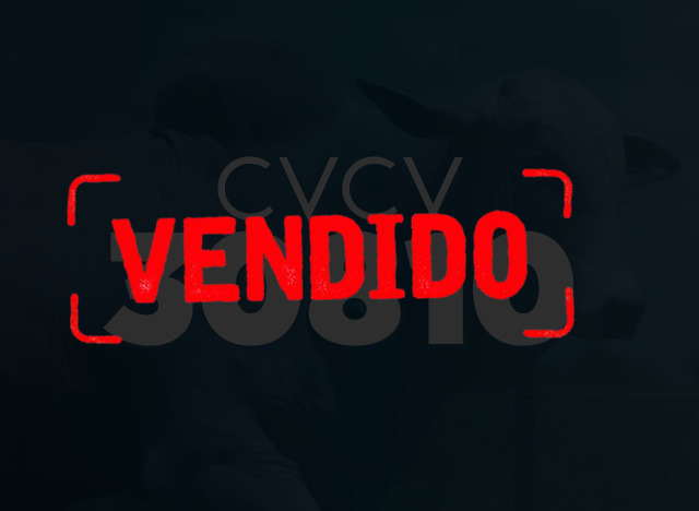CVCV 30810