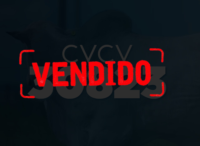 CVCV 30823