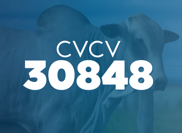 CVCV 30848