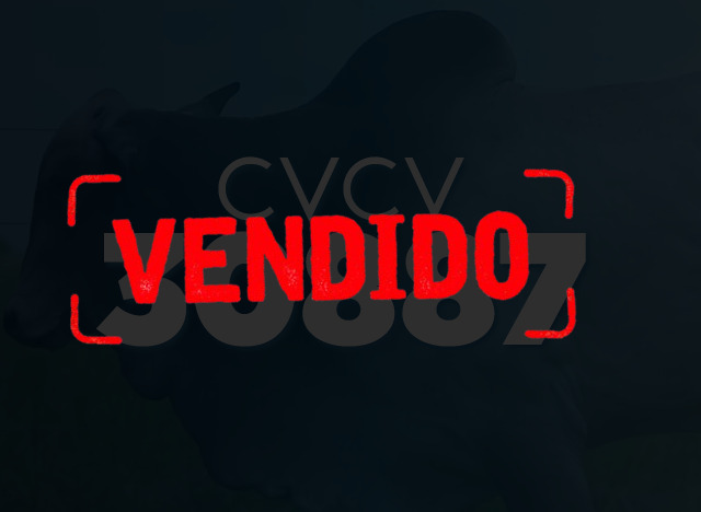 CVCV 30887