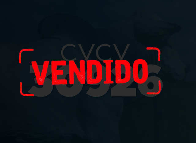 CVCV 30926