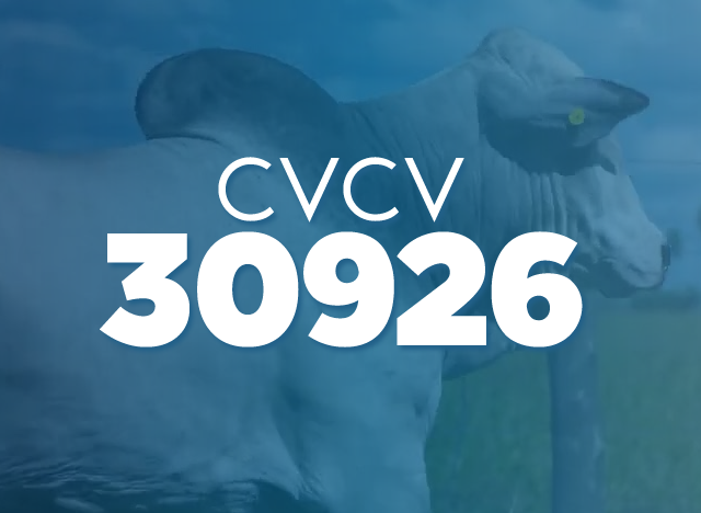 CVCV 30926