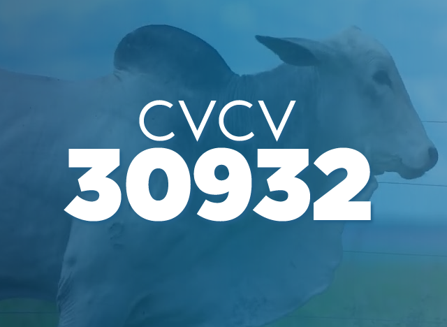 CVCV 30932