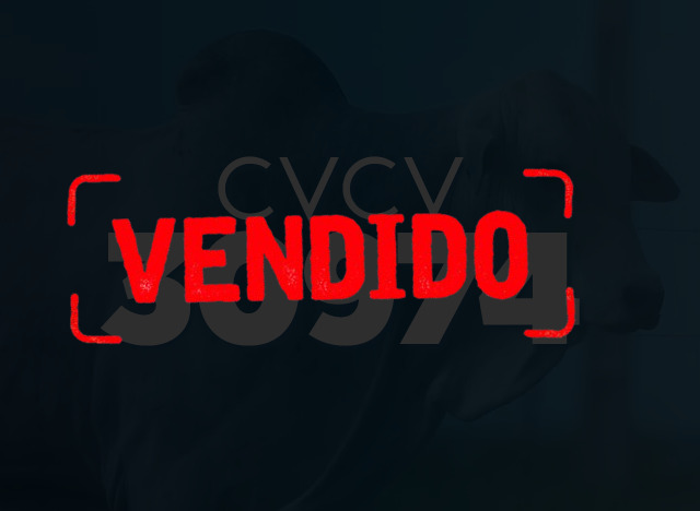 CVCV 30974
