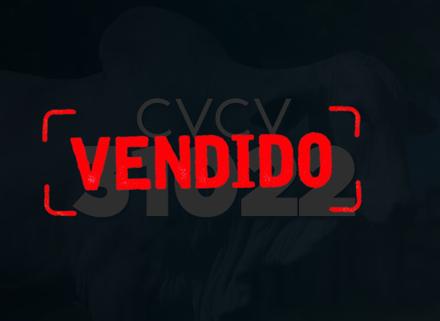 CVCV 31022