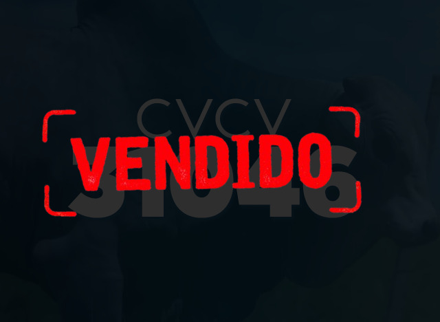 CVCV 31046