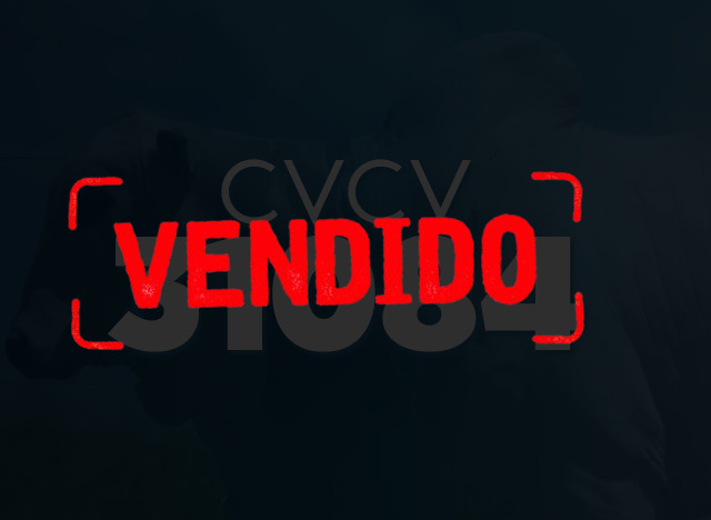 CVCV 31084