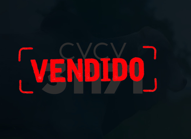 CVCV 31171