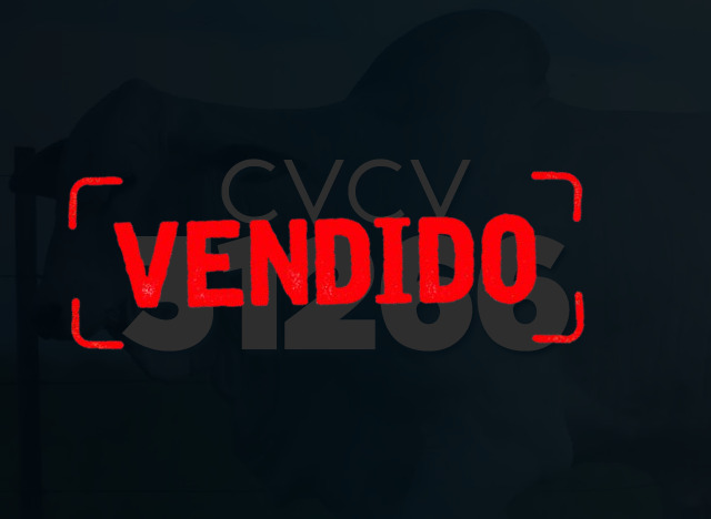 CVCV 31266