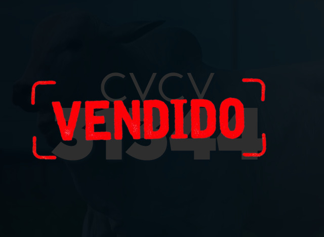 CVCV 31344