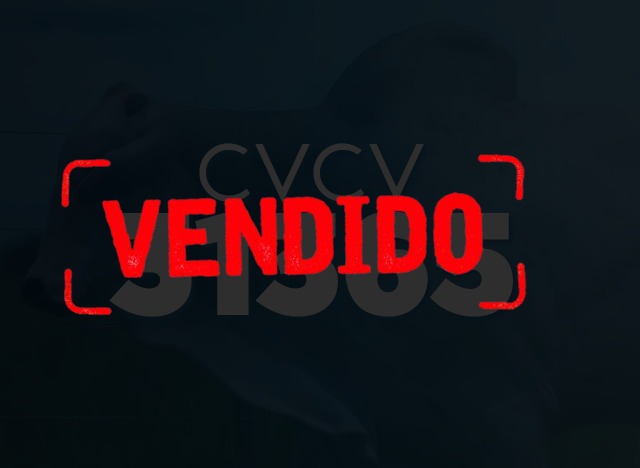 CVCV 31365