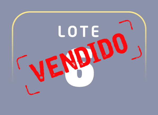 Lote 06