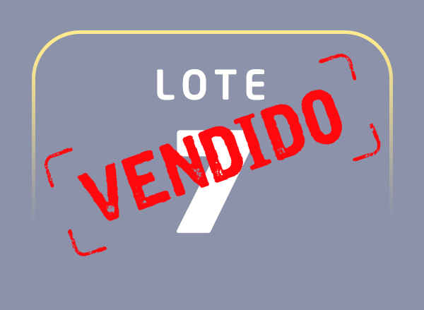 Lote 07