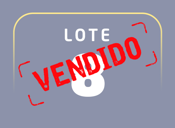 Lote 08