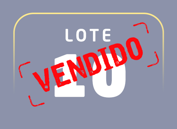 Lote 10