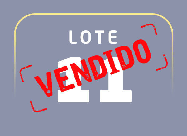 Lote 11