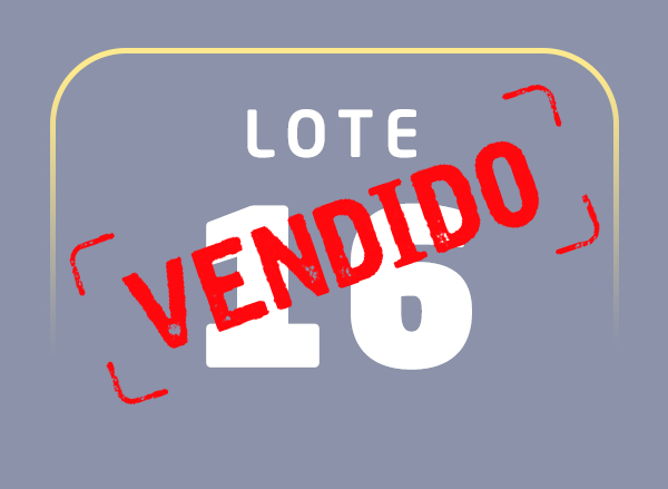 Lote 16