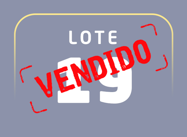 Lote 19