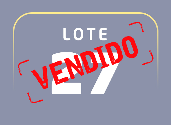 Lote 27