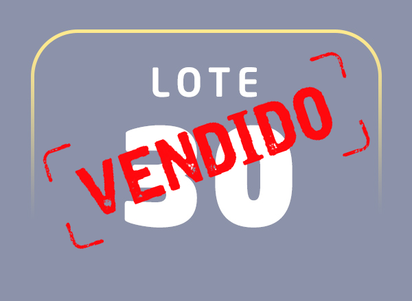 Lote 30