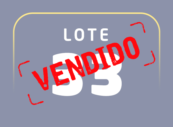 Lote 33