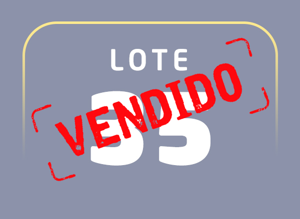 Lote 35