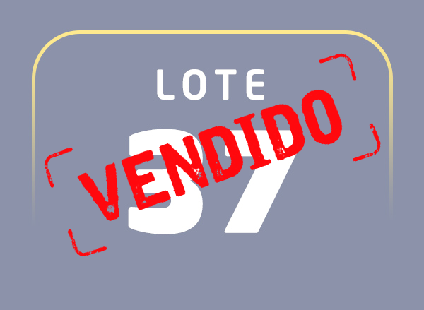 Lote 37