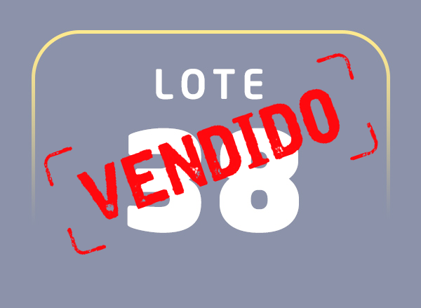 Lote 38