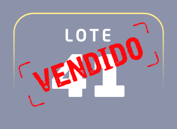 Lote 41