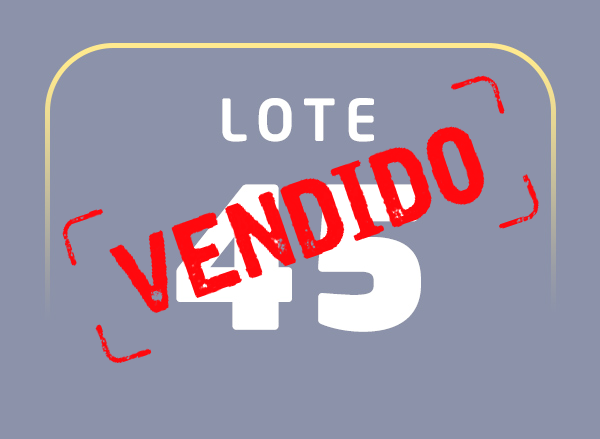 Lote 45