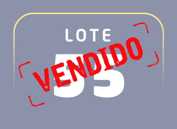 Lote 55