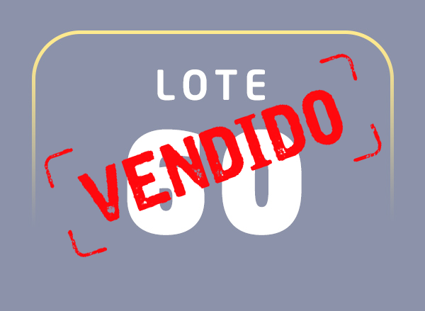 Lote 60