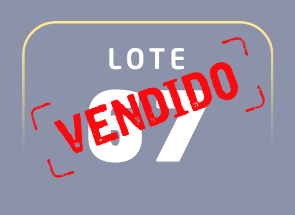 Lote 67