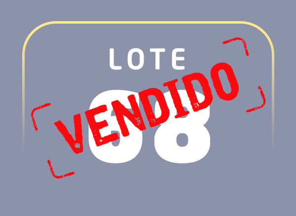 Lote 68